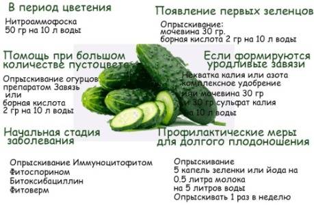 Подкормка