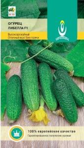Огурец Либелла