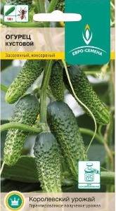 Огурец Кустовой