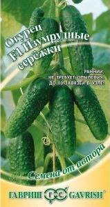 Огурец Изумрудные серёжки