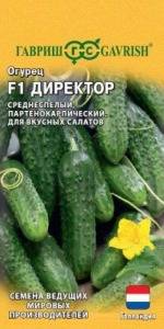 Огурец Директор