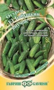 Бабушкин внучок
